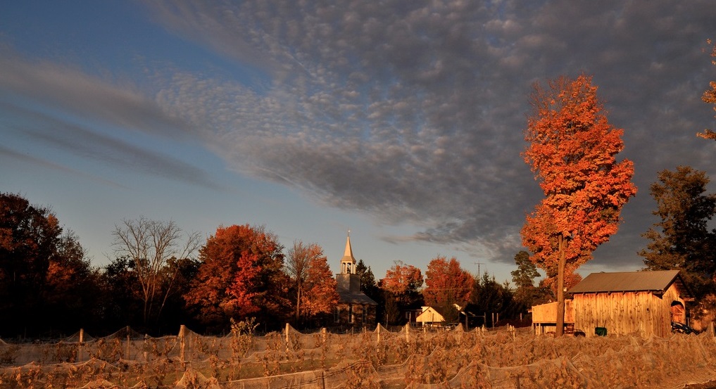 Il vit son second souffle en devenant vigneron !